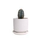 Virago White 3.5" Porcelain Pot - Chive Ceramics Studio - Pots - Chive Wholesale