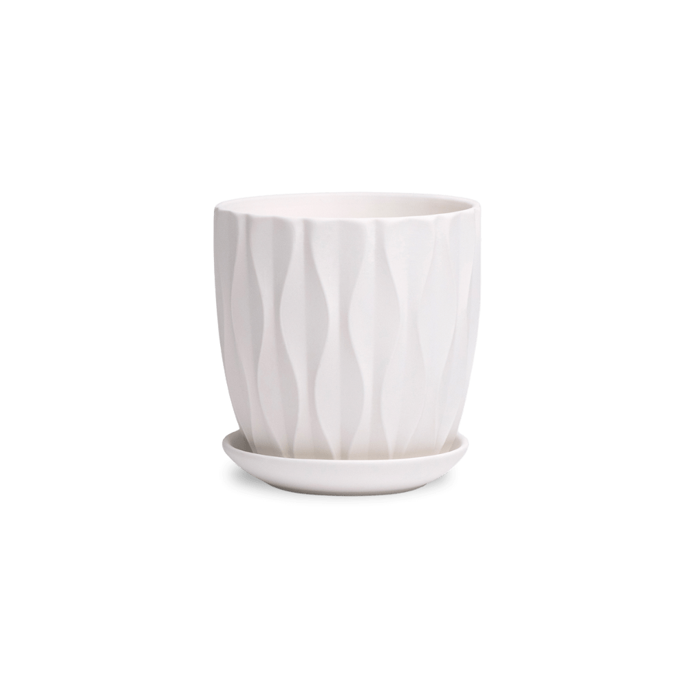 Virago 3.5" Porcelain Pot With Drainage Hole And Saucer - Chive Ceramics Studio - Pots - Chive Ceramics Studio