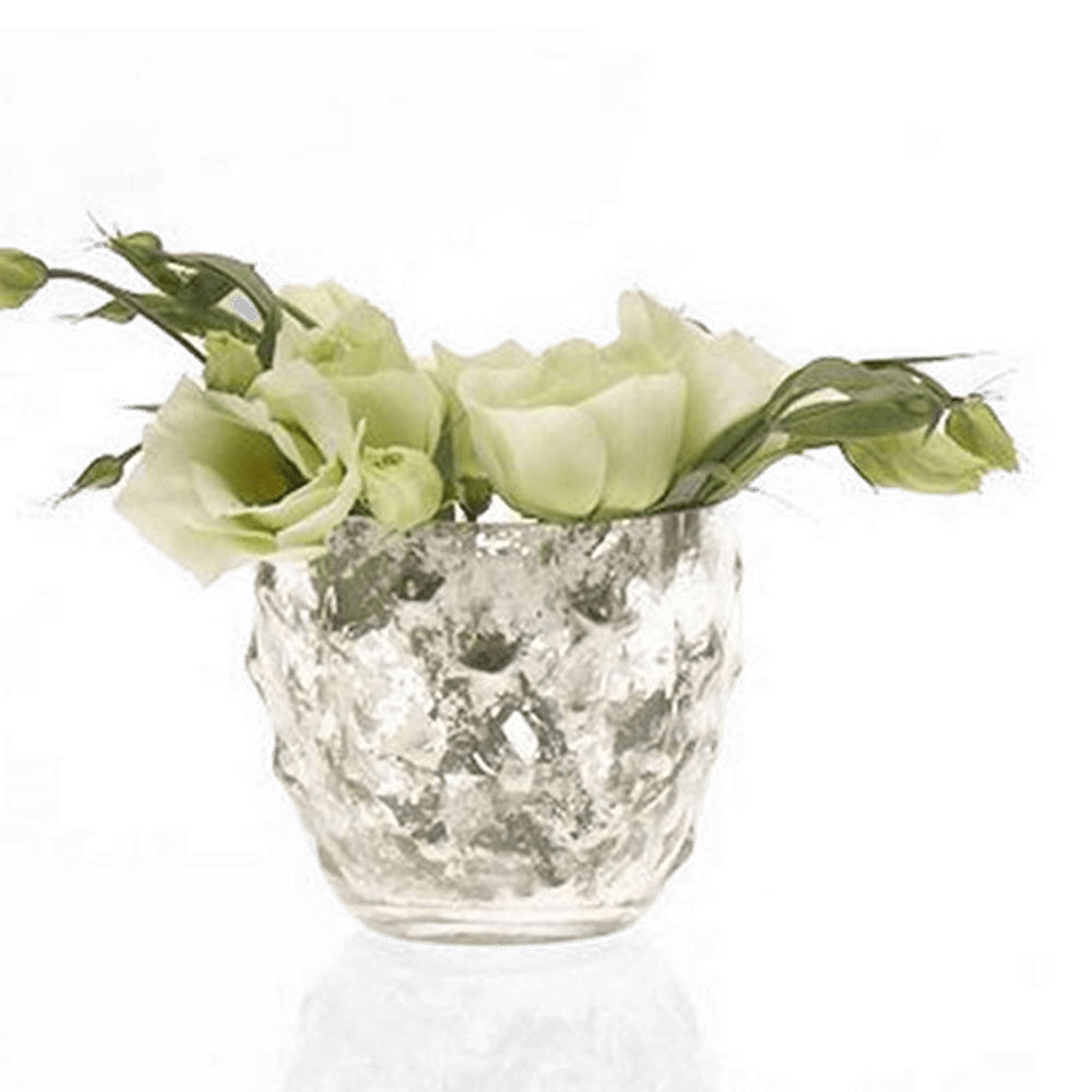 Vie Jolie Glass Vintage Flower Vases