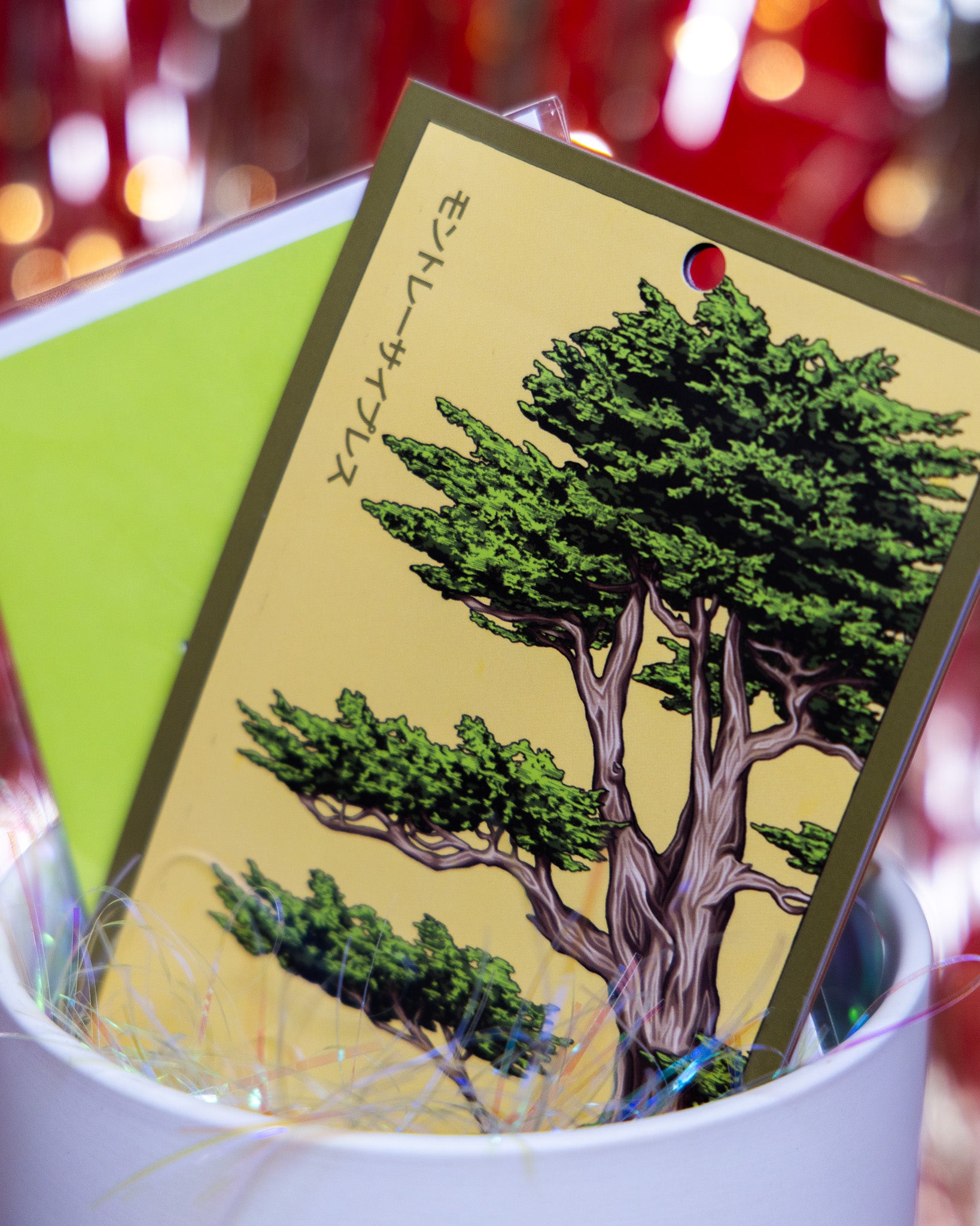 For Someone Whose Plants Have Better Healthcare Than Most Americans - Chive Ceramics Studio - Chive Ceramics Studio