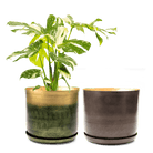 Joe Metal Pot With Drainage Hole | 7, 8, 10 & 12 inches - Chive Ceramics Studio - Pots - Chive Ceramics Studio