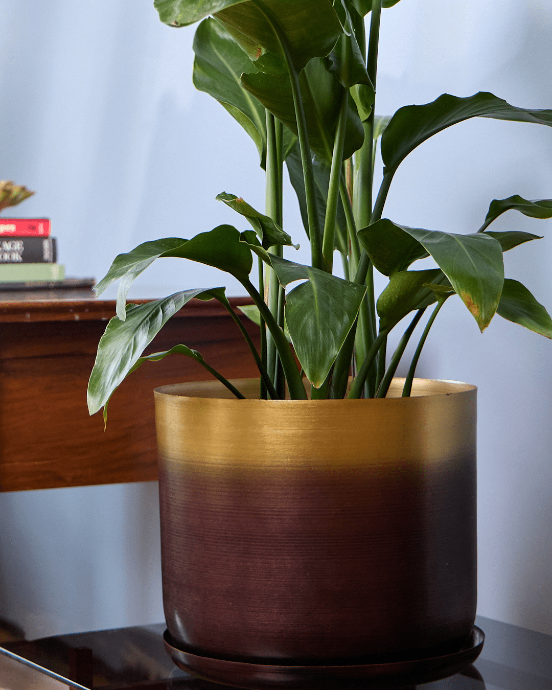 Joe Metal Pot With Drainage Hole - Chive Ceramics Studio - Pots - Chive US