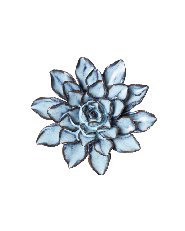 September Birth Flower - Aster