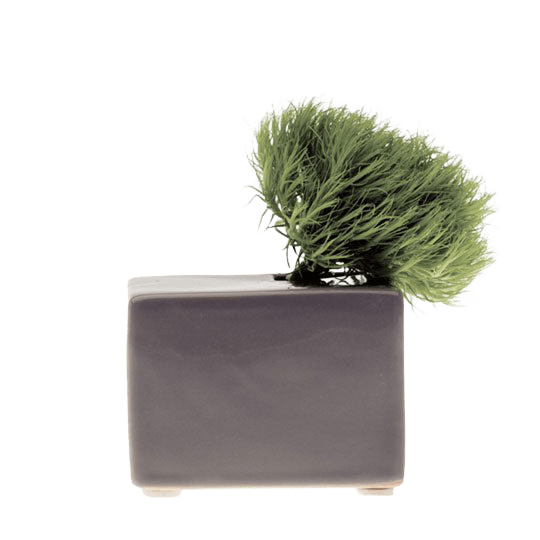 Cube Ceramic Flower Vase - Chive Ceramics Studio - Vases - Chive US