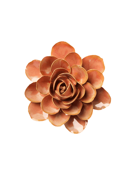 Gift for neighbor | Peach Pink Begonia | Chive