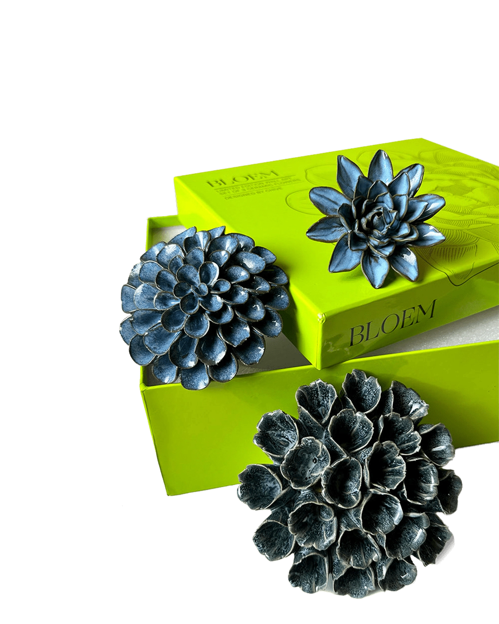 Bloem - Ceramic Flower Wall Art Box Set - handmade by Chive Studio Toronto