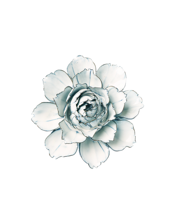 Blue White Camellia