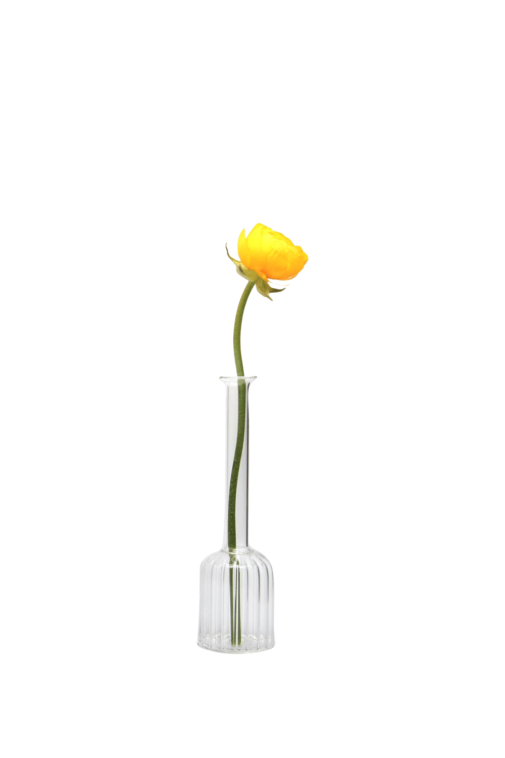 Clear Glass Modern Flower Vase - Jeanie - handmade by Chive Studio Toronto