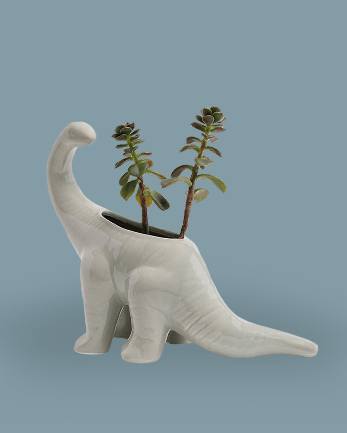 Brontosaurus Ceramic Indoor Plant Pot - Chive Ceramics Studio - Pots - Chive Ceramics Studio