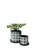 Chive Balter black ceramic planters in two sizes with white lace lattice pattern and matching saucers.