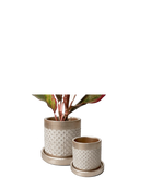 Chive Balter gold ceramic planters in two sizes with diamond lattice texture and matching saucers.