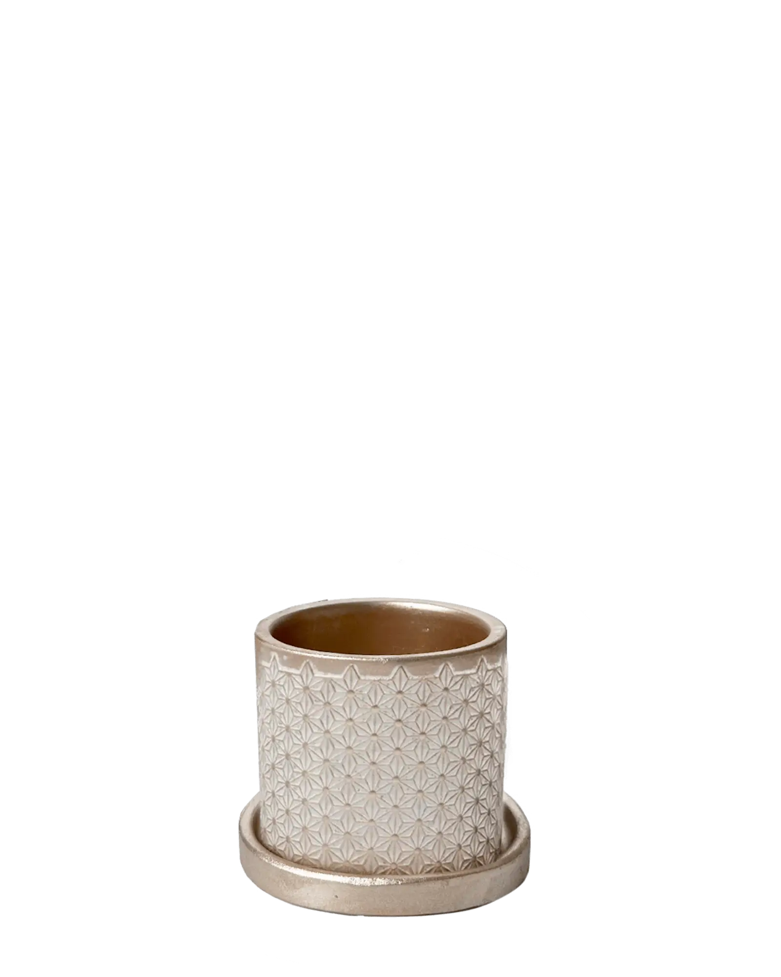 Chive Balter ceramic planter in gold with an embossed star geometric pattern and matching saucer.