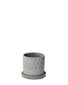 Chive Balter ceramic planter in grey with an embossed leaf pattern and matching saucer.