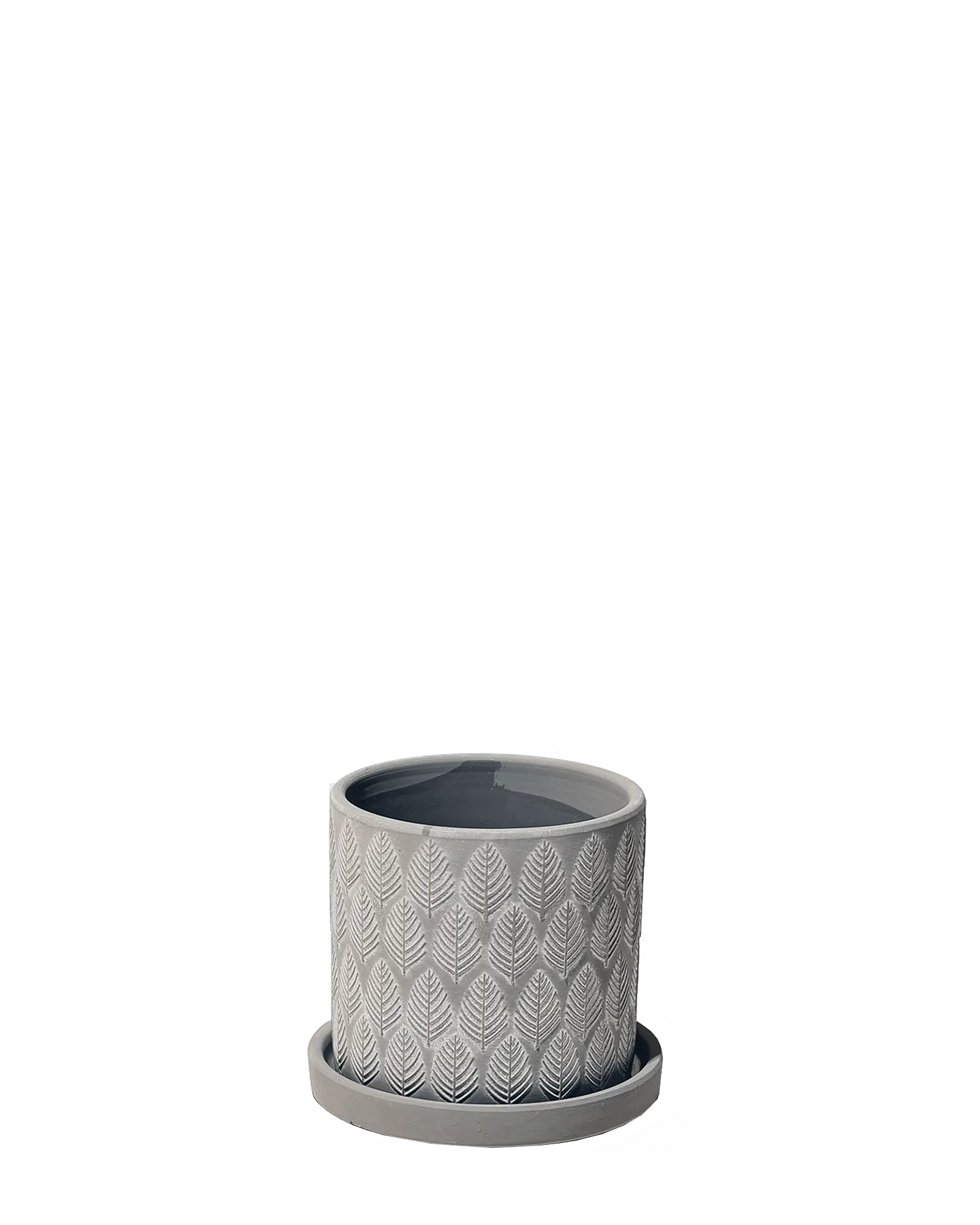 Chive Balter ceramic planter in grey with an embossed leaf pattern and matching saucer.