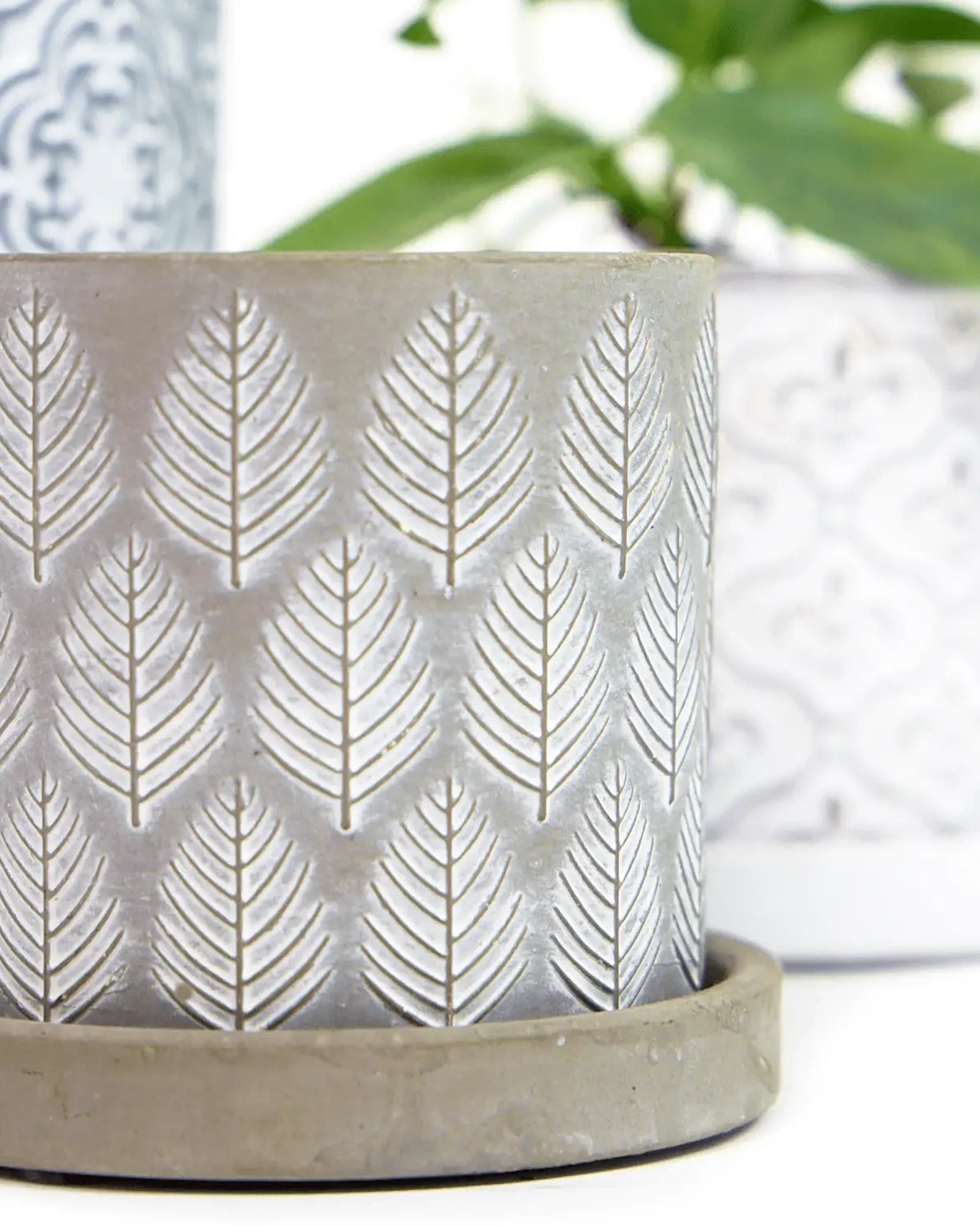 Close-up of the Chive Balter medium grey leaves ceramic pot showing the color and patterns.