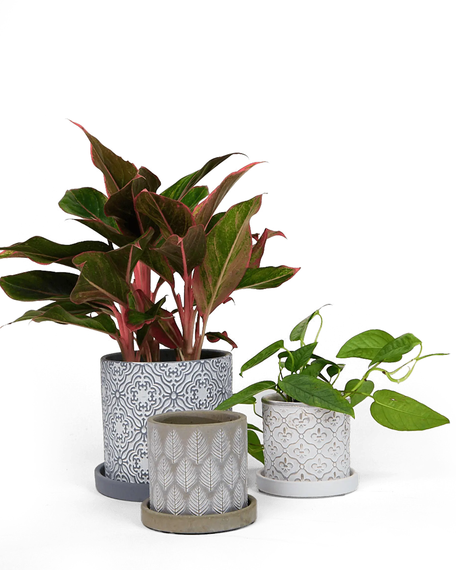 Chive Balter grey ceramic planters with embossed paisley, leaf, and fleur-de-lis patterns.