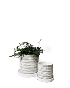 Chive Balter white leaves ceramic planters in two sizes with herringbone leaf pattern and matching saucers.