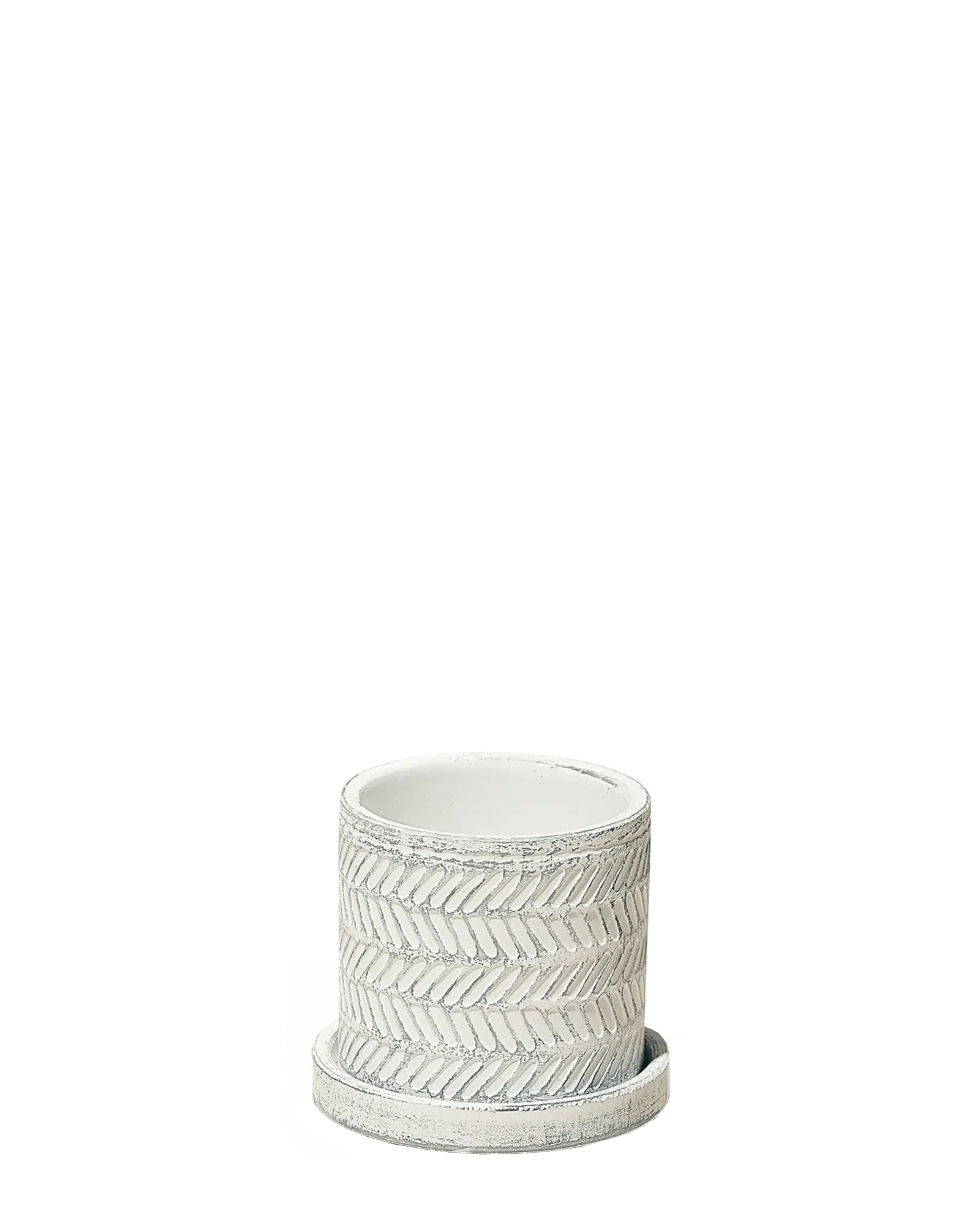 Chive Balter white leaves ceramic planter with an embossed herringbone leaf pattern and matching saucer.