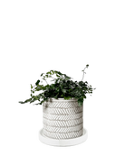 Chive Balter white leaves ceramic planter with embossed herringbone leaf pattern, styled with a trailing vine.