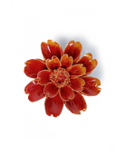 Chive April Birth Flower Daisy orange yellow glazed ceramic flower.
