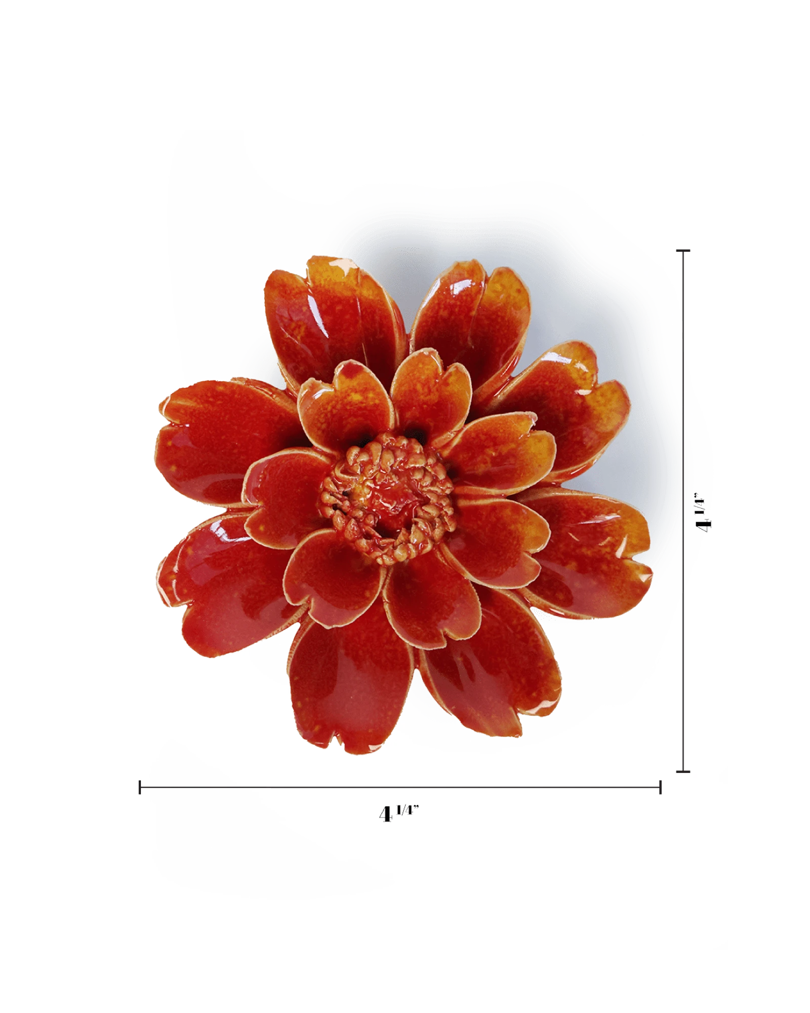 Chive April Birth Flower Daisy orange yellow ceramic flower size chart showing height and width dimensions.