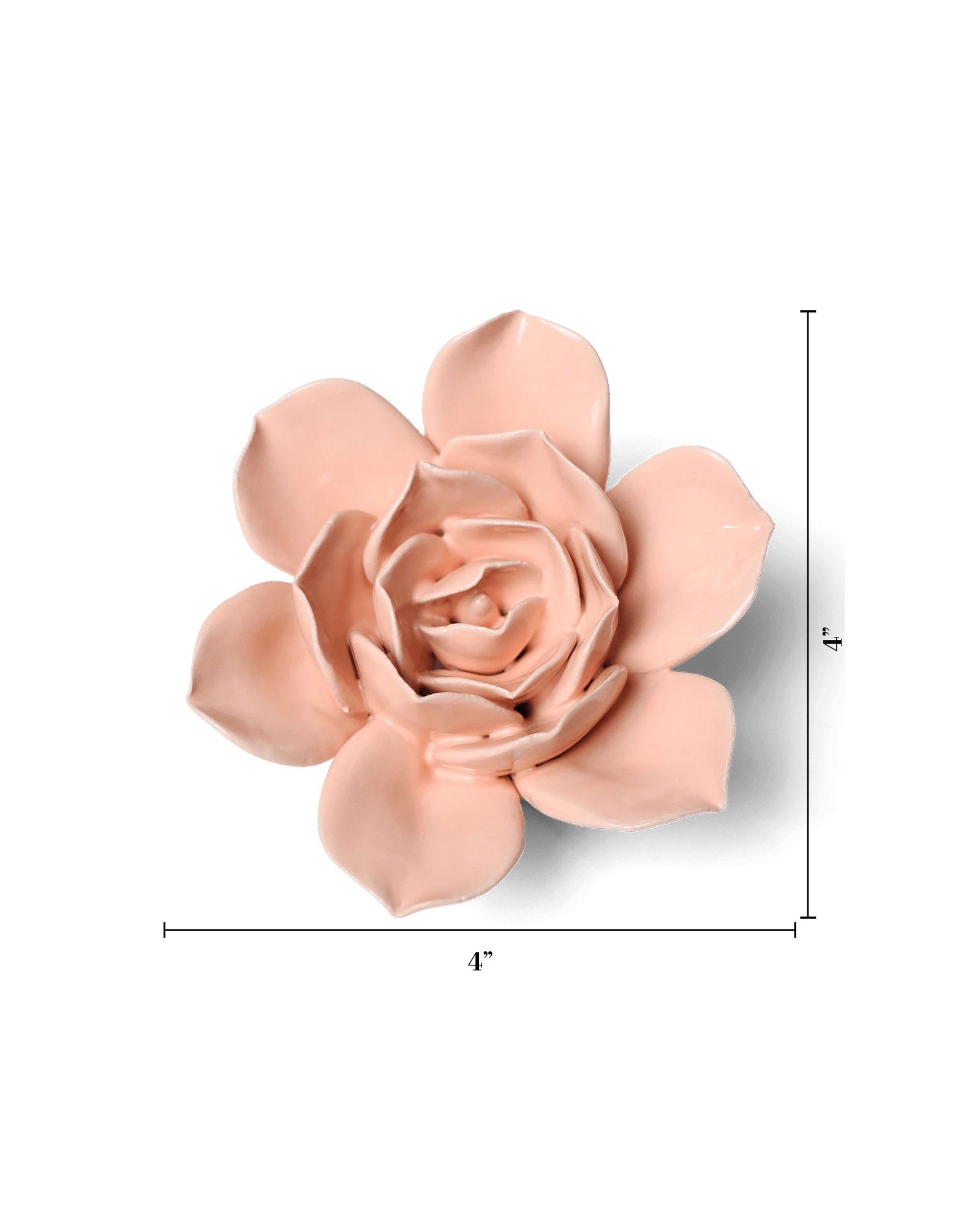Chive December Birth Flower Narcissus apricot pink ceramic flower size chart showing height and width dimensions.