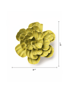 Chive February Birth Flower Primrose chartreuse ceramic flower size chart showing height and width dimensions.