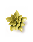 Chive July Birth Flower Water Lily chartreuse green glazed ceramic flower.