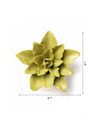 Chive July Birth Flower Water Lily chartreuse ceramic flower size chart showing height and width dimensions.