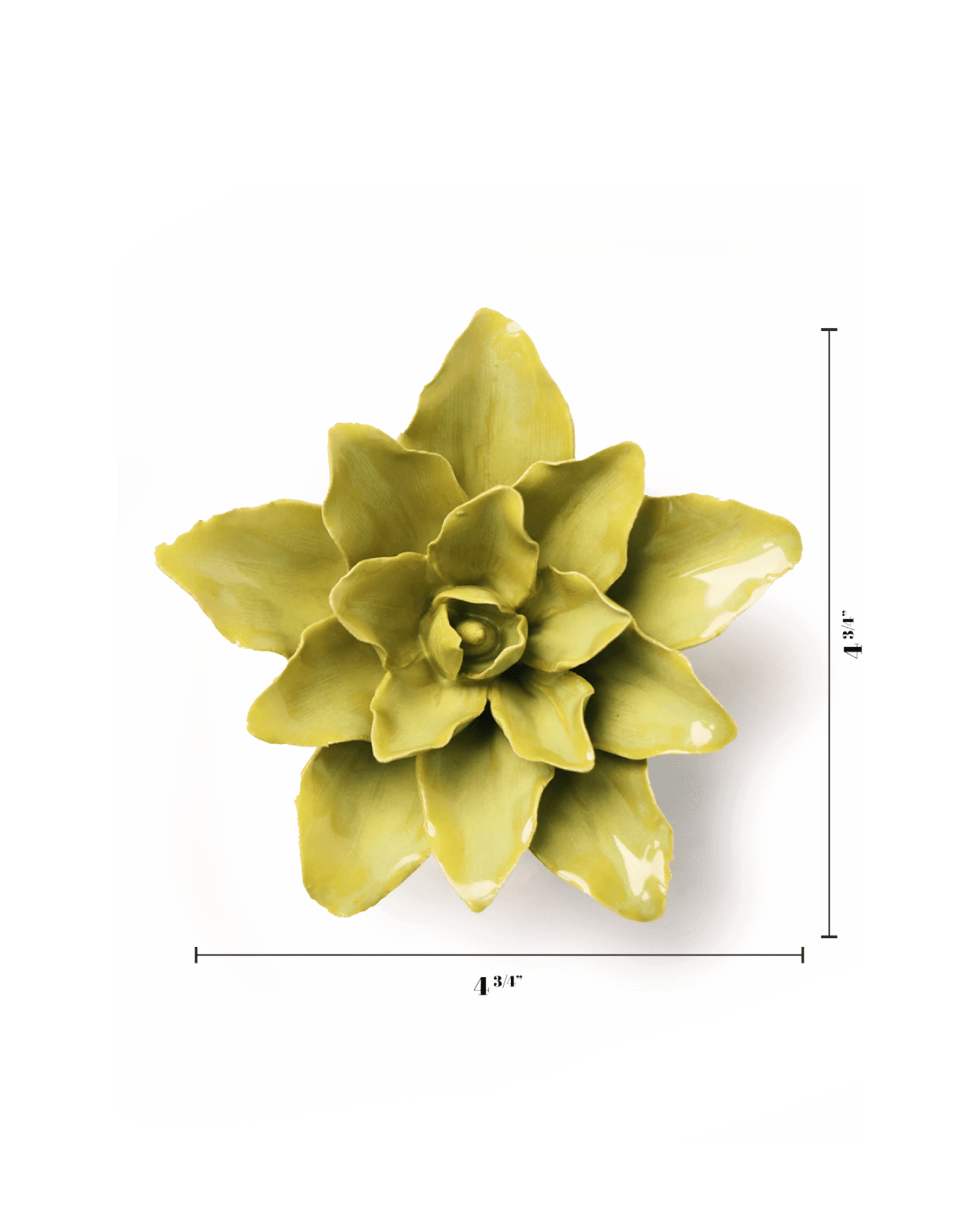 Chive July Birth Flower Water Lily chartreuse ceramic flower size chart showing height and width dimensions.