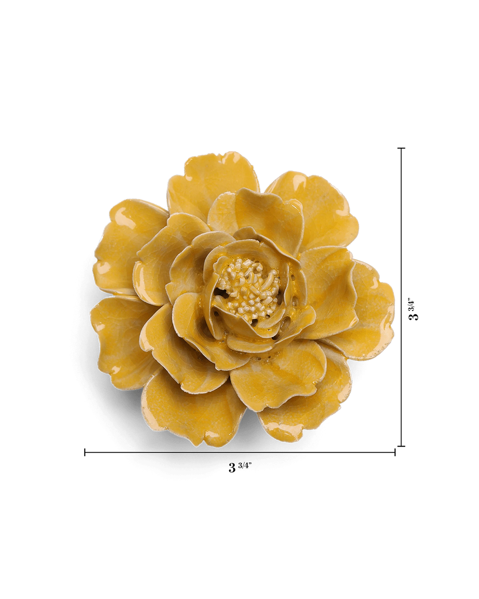 Chive June Birth Flower Rose burnt yellow ceramic flower size chart showing height and width dimensions.