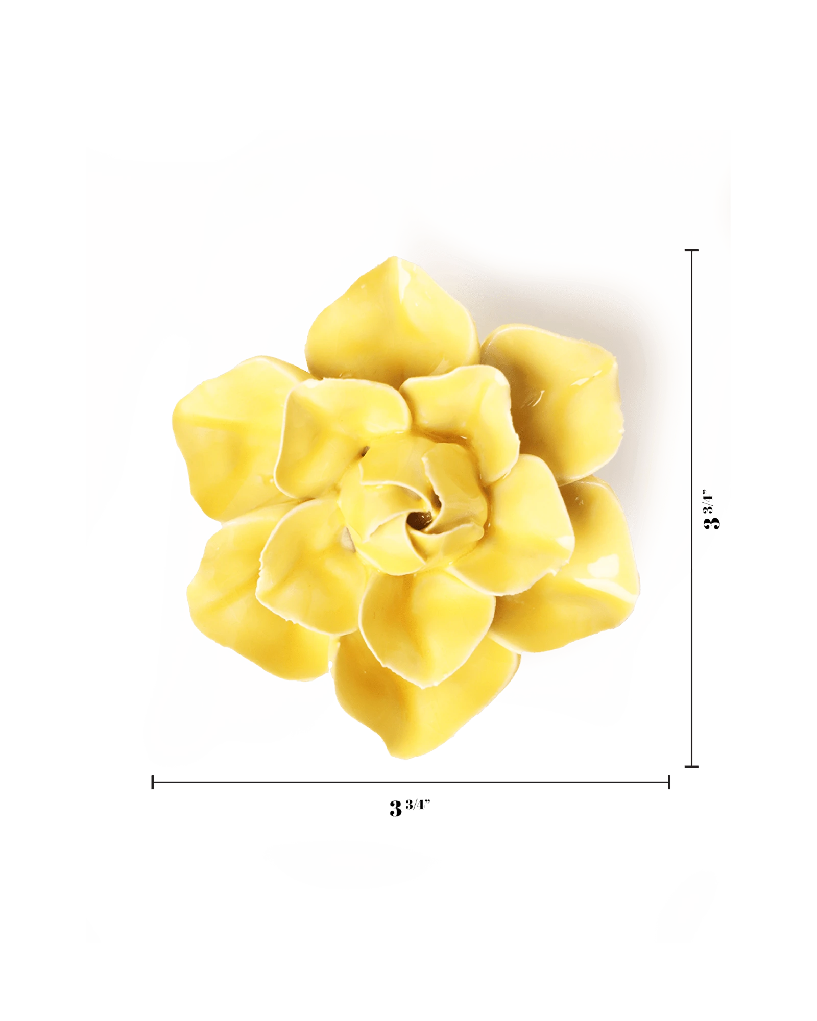 Chive March Birth Flower Daffodil yellow ceramic flower size chart showing height and width dimensions.