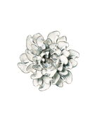 Chive May Birth Flower Hawthorn blue white glazed ceramic flower.
