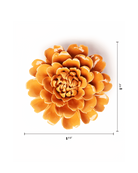 Chive October Birth Flower Marigold fiesta orange ceramic flower size chart showing height and width dimensions.