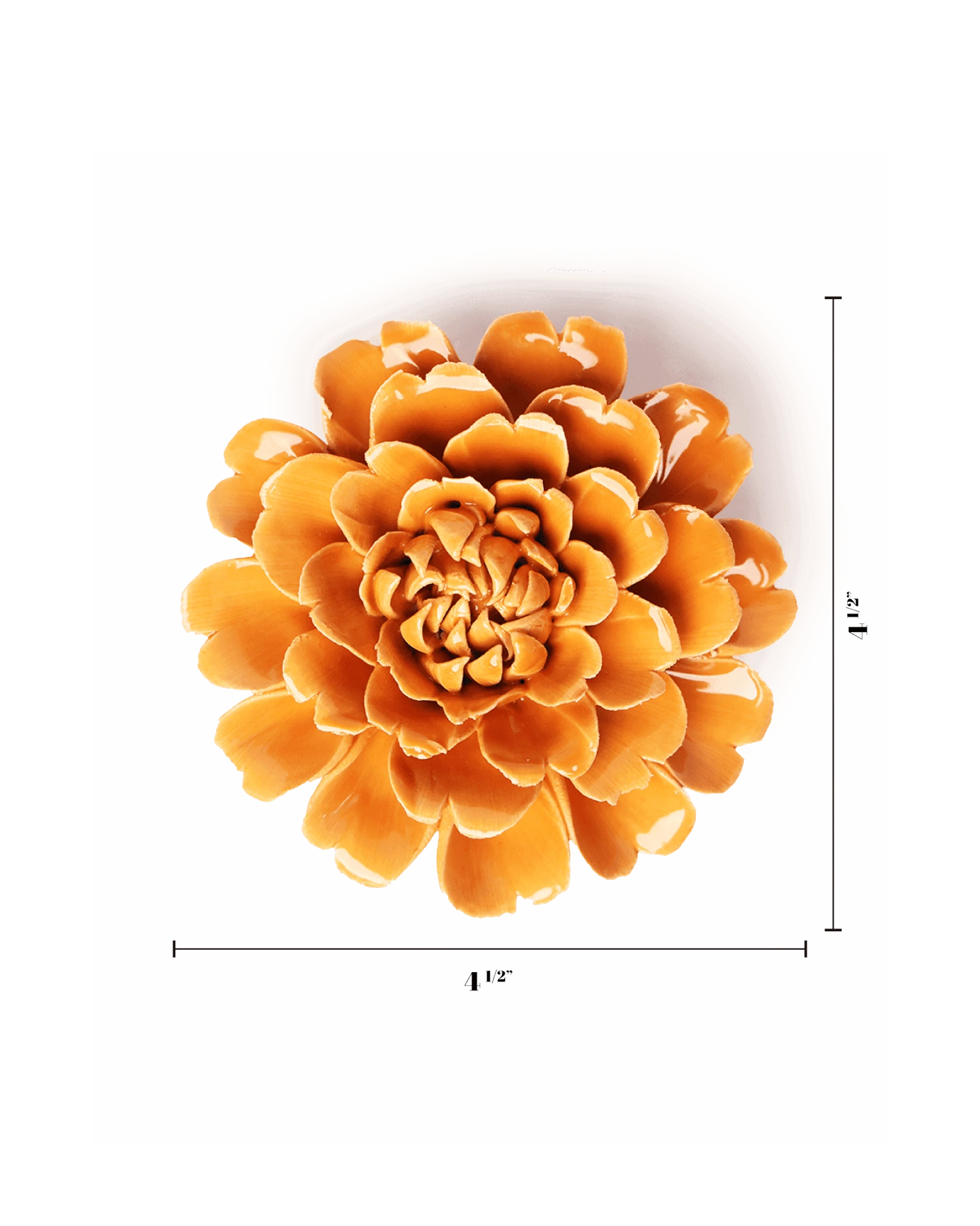 Chive October Birth Flower Marigold fiesta orange ceramic flower size chart showing height and width dimensions.