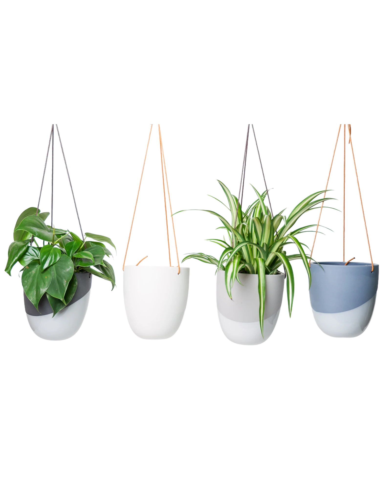 Chive Bobbin porcelain hanging planters in black, white, blue grey, and light grey, styled with spider plant and philodendron.