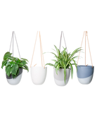 Chive Bobbin porcelain hanging planters in black, white, blue grey, and light grey, styled with spider plant and philodendron.