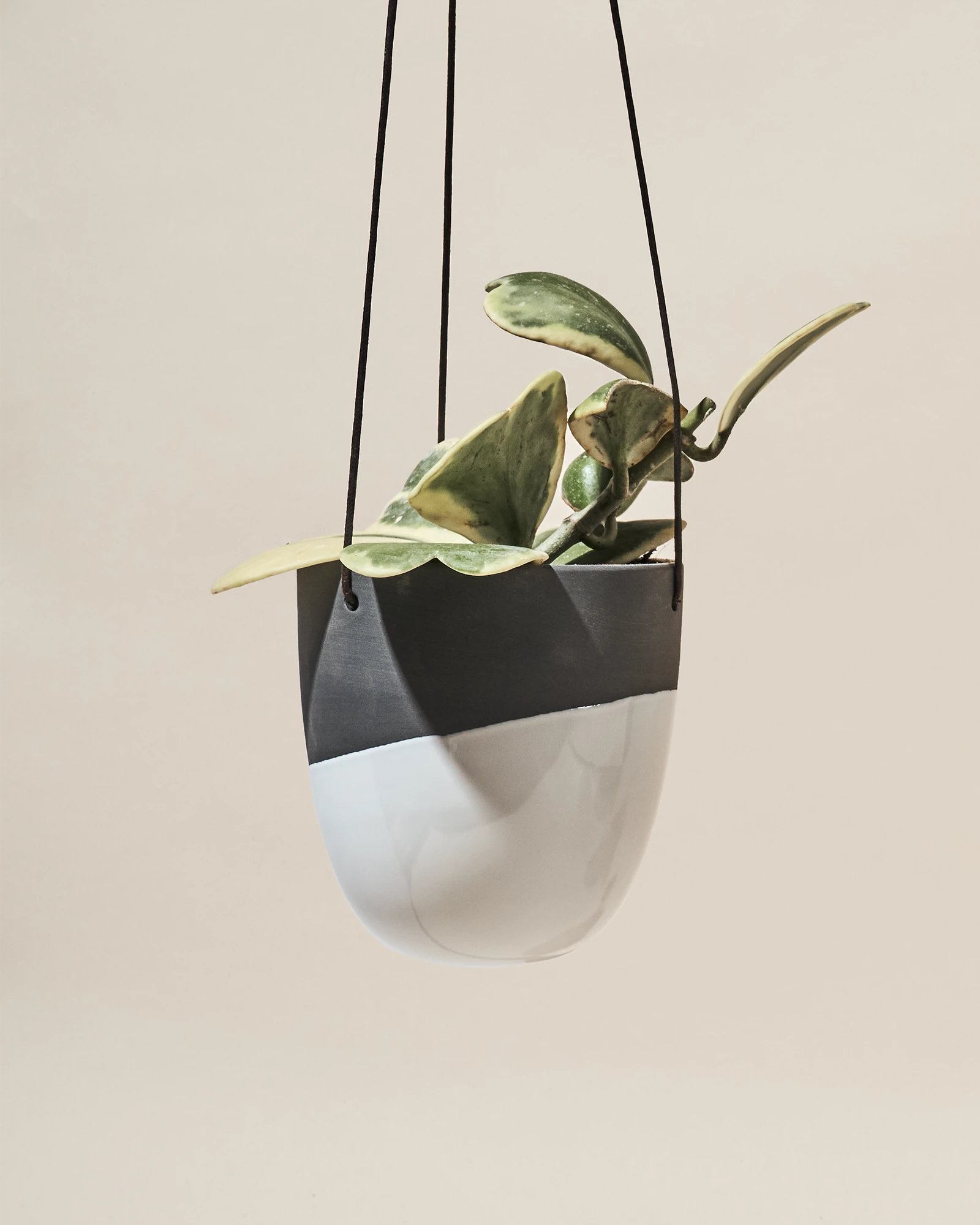 Chive Bobbin black porcelain hanging planters styled with plants against a neutral background.