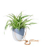 Chive Bobbin blue grey porcelain hanging planter pot styled with a spider plant with cord loosely dropped.