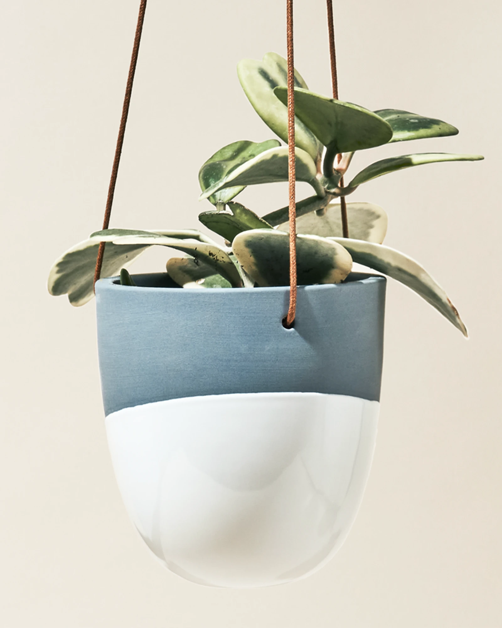 Chive Bobbin blue grey porcelain hanging planters styled with plants against a neutral background.