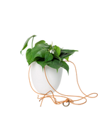 Chive Bobbin white porcelain hanging planter pot without drainage styled with a philodendron plant.