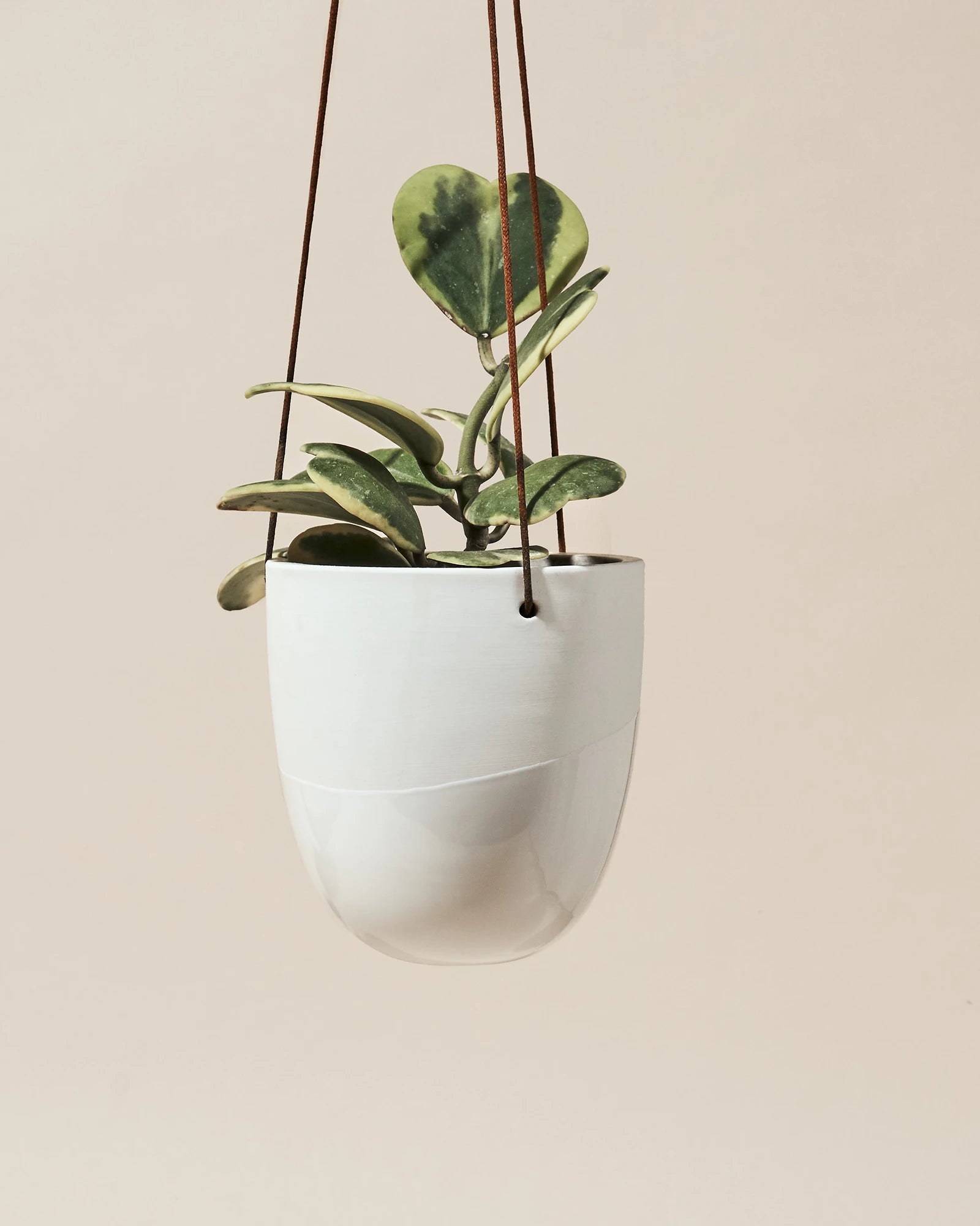 Chive Bobbin white porcelain hanging planters styled with plants against a neutral background.