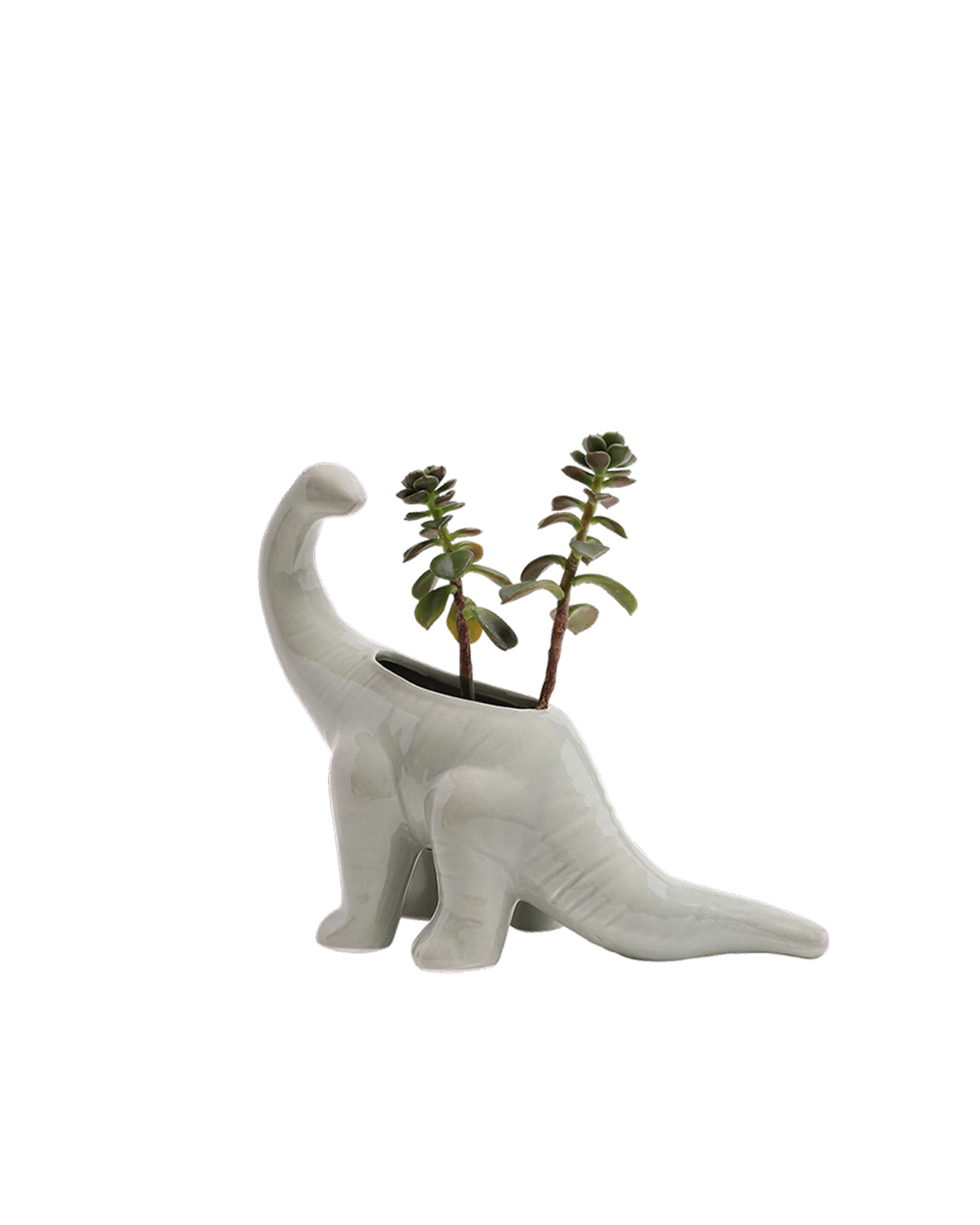 Chive Brontosaurus Almost Aqua color glazed ceramic dinosaur shaped planter styled with a plant.