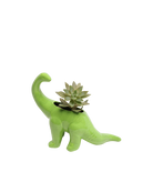Chive Brontosaurus Fluorite Green color glazed ceramic dinosaur shaped planter styled with a succulent.