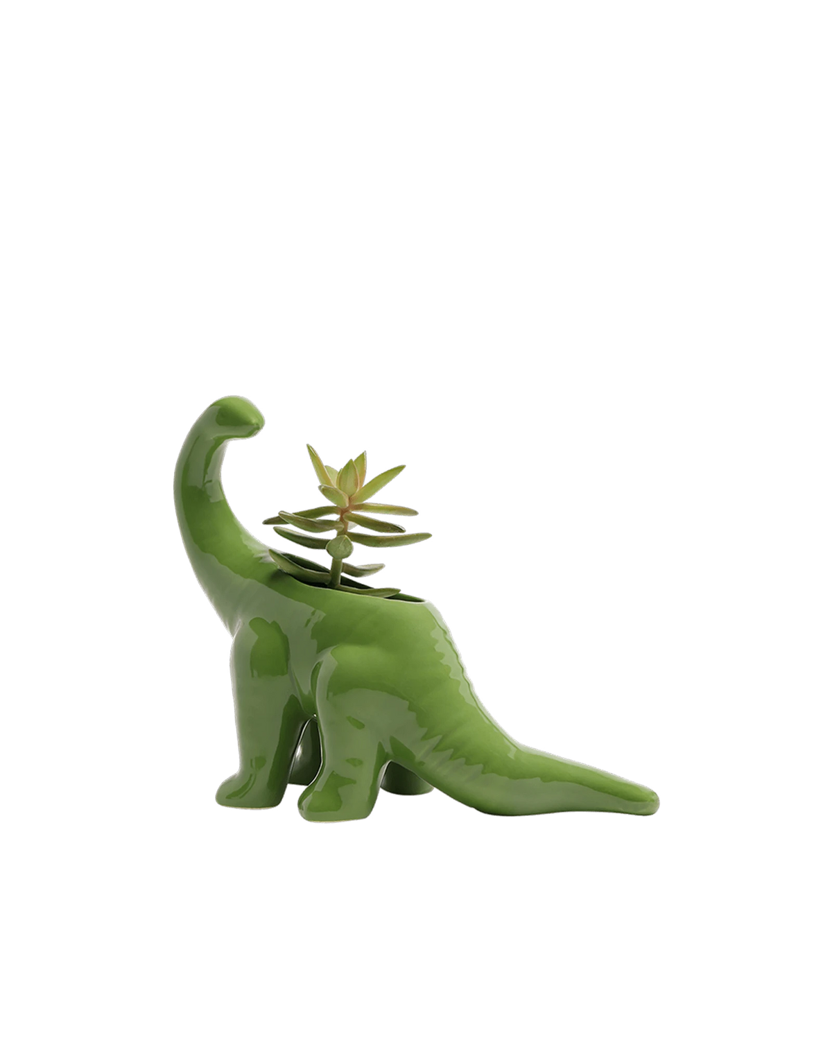 Brontosaurus Whimsical Ceramic Planter - Cachepot | Chive