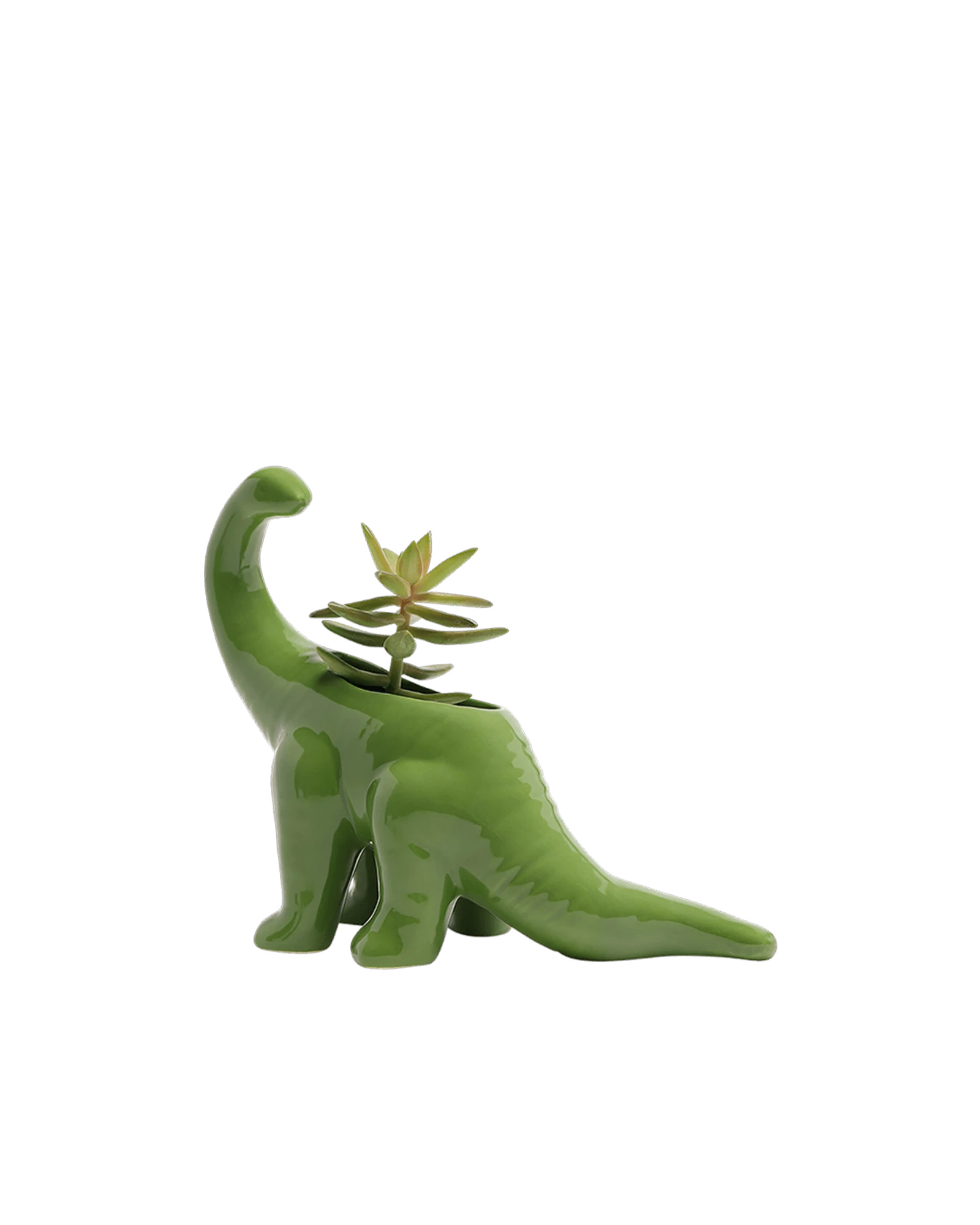 Chive Brontosaurus Foliage green color glazed ceramic dinosaur shaped planter styled with a succulent.
