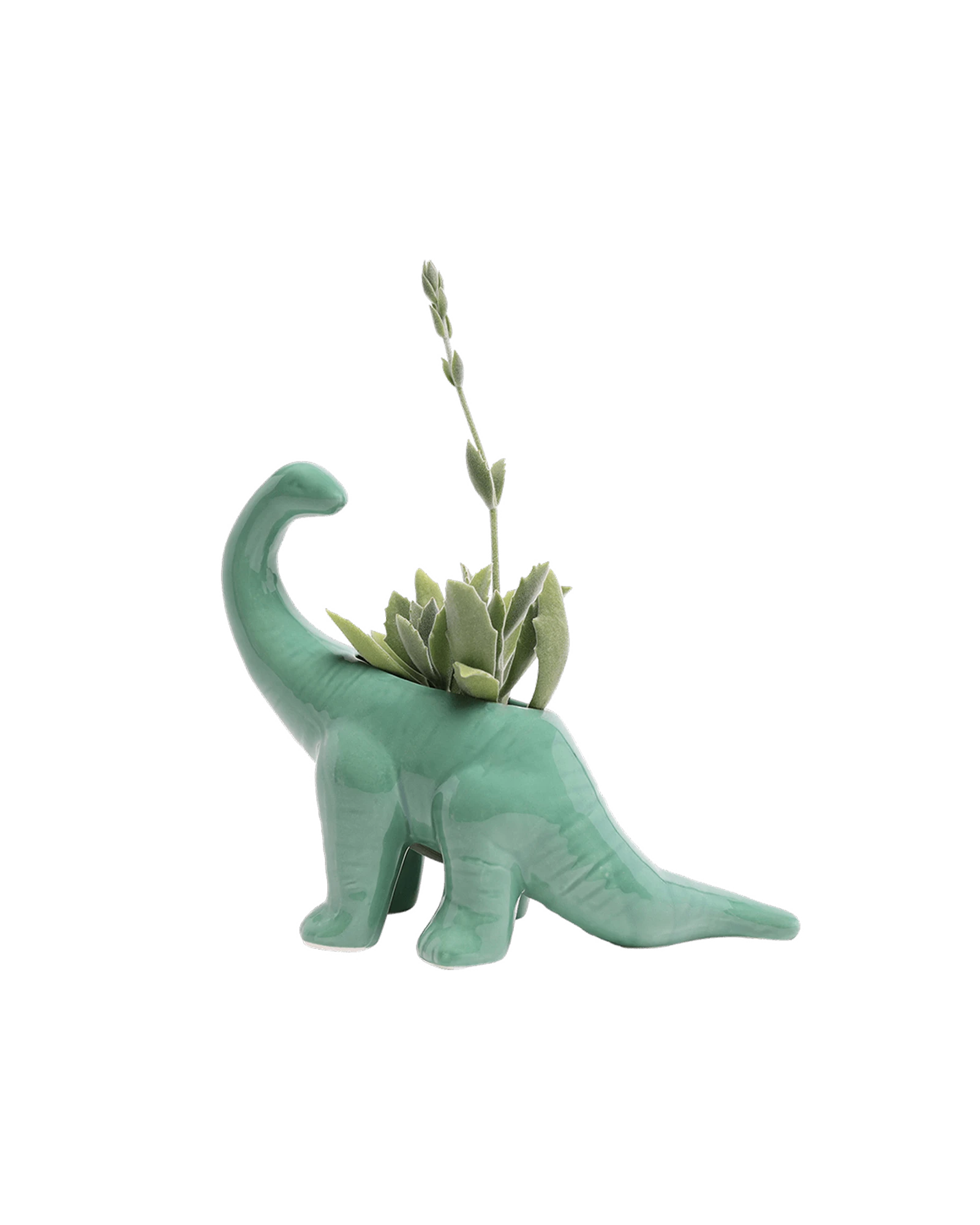 Chive Brontosaurus Granite Green color glazed ceramic dinosaur shaped planter styled with a succulent.