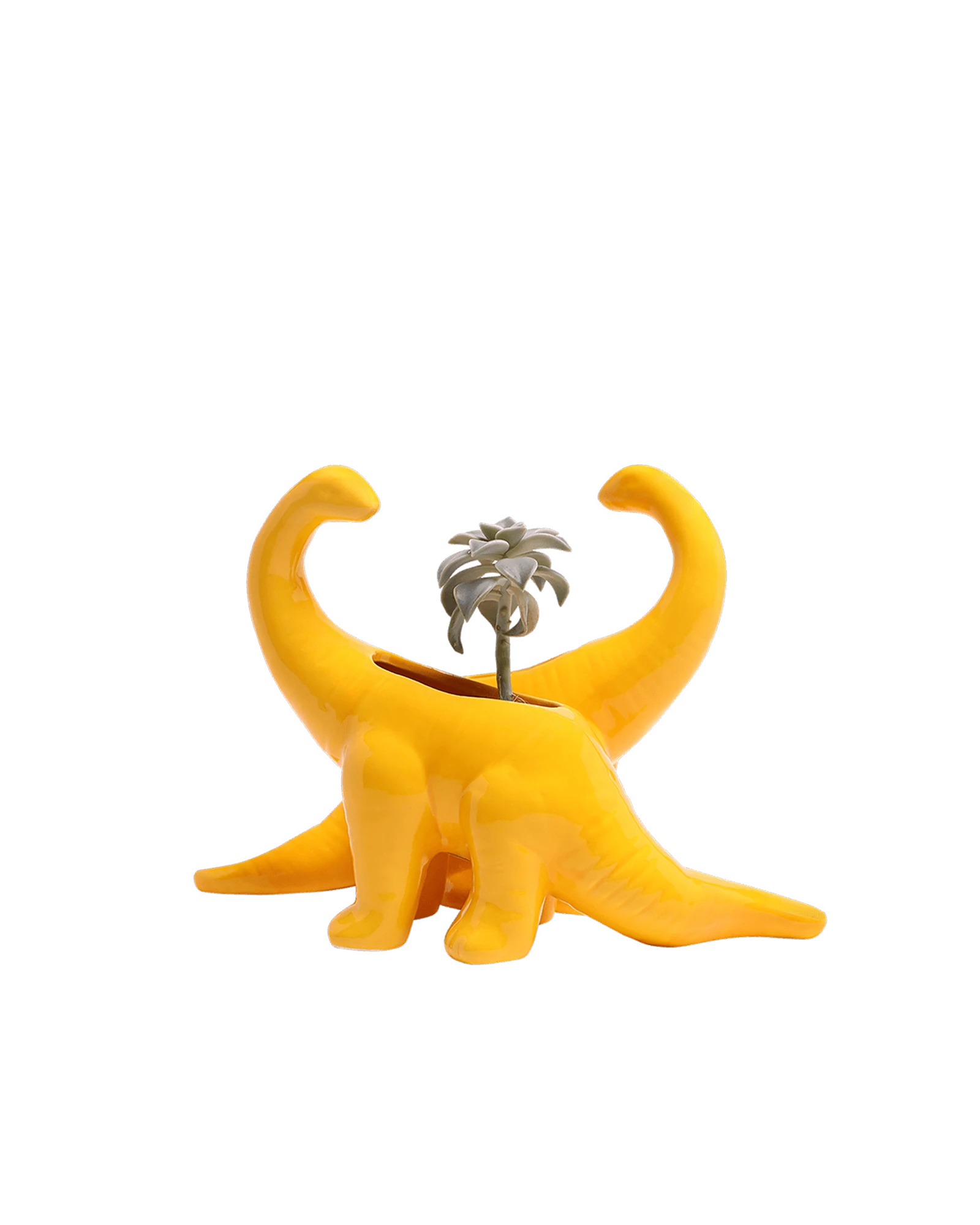 Two Chive Brontosaurus Lemon Chrome  yellow color glazed ceramic dinosaur shaped planters styled with a plant.