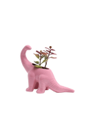 Chive Brontosaurus Nose Gay Pink color glazed ceramic dinosaur shaped planter styled with a plant.