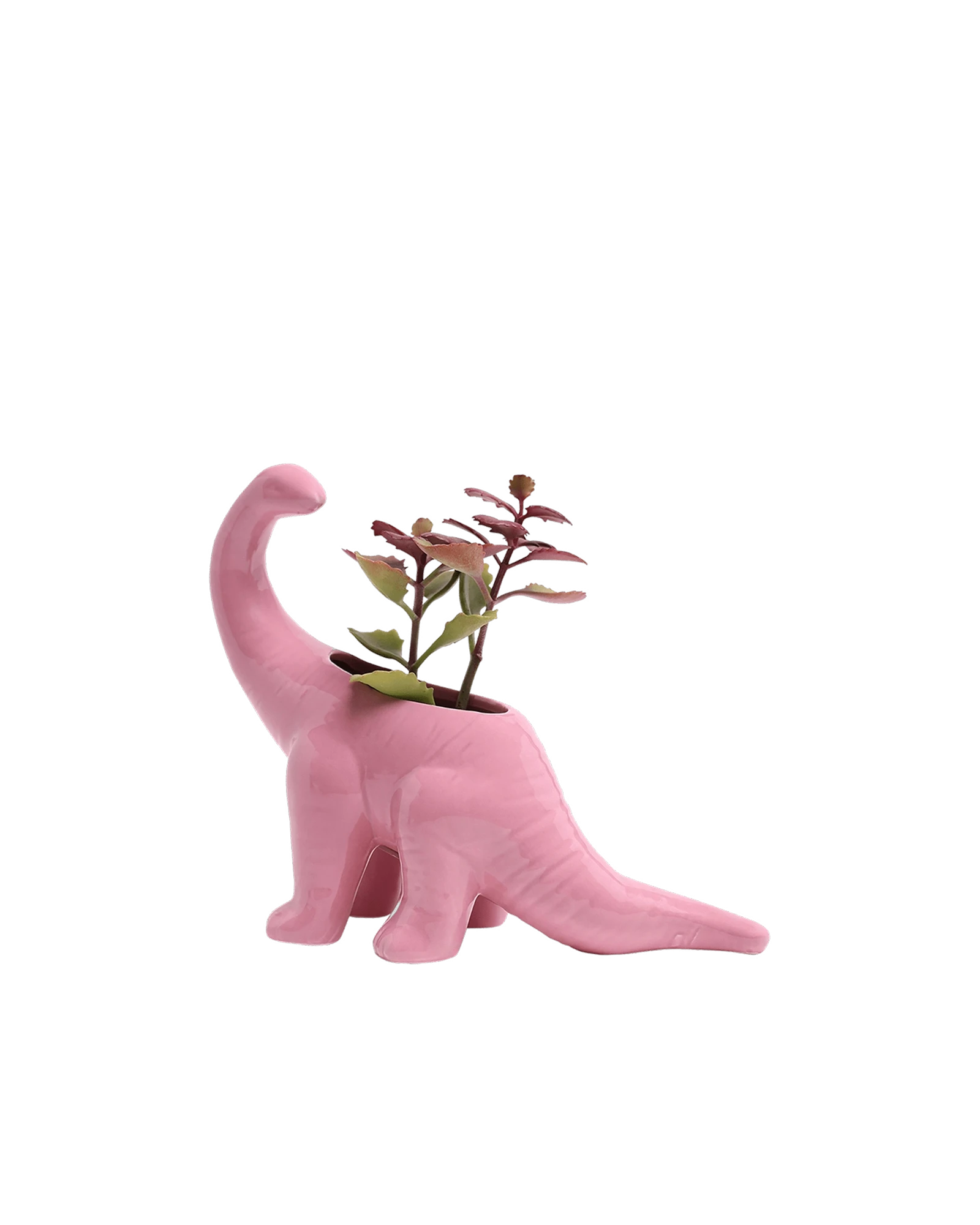 Chive Brontosaurus Nose Gay Pink color glazed ceramic dinosaur shaped planter styled with a plant.